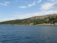 Marjan